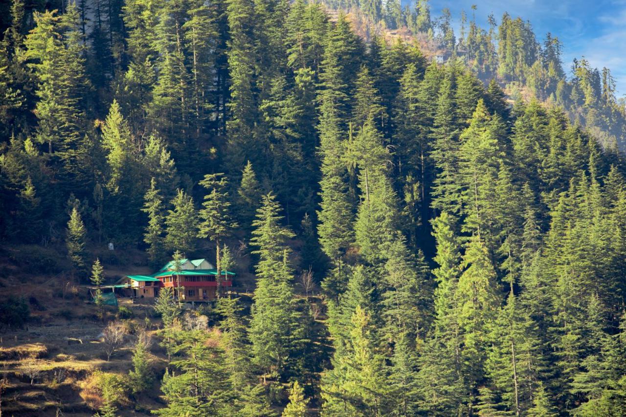 Freebird Nest Jibhi Hotel Екстериор снимка