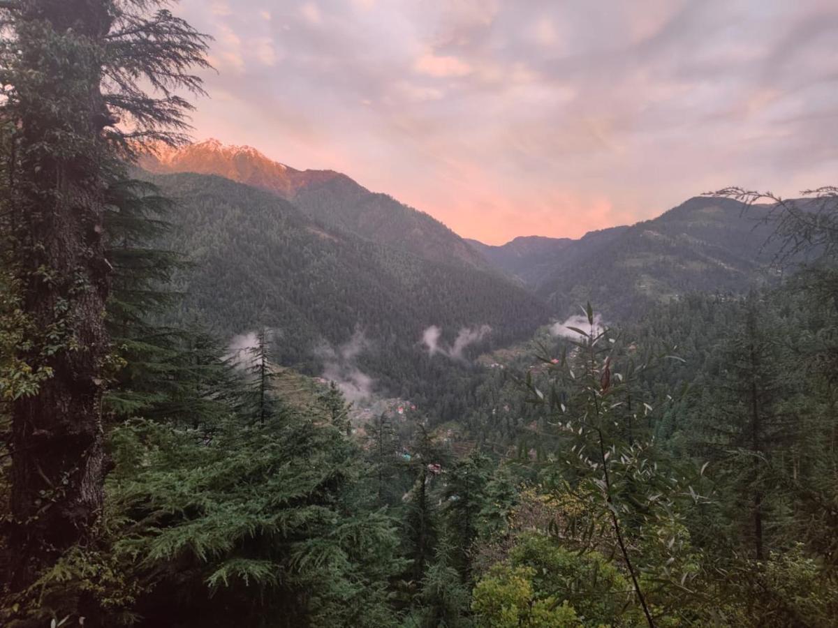 Freebird Nest Jibhi Hotel Екстериор снимка