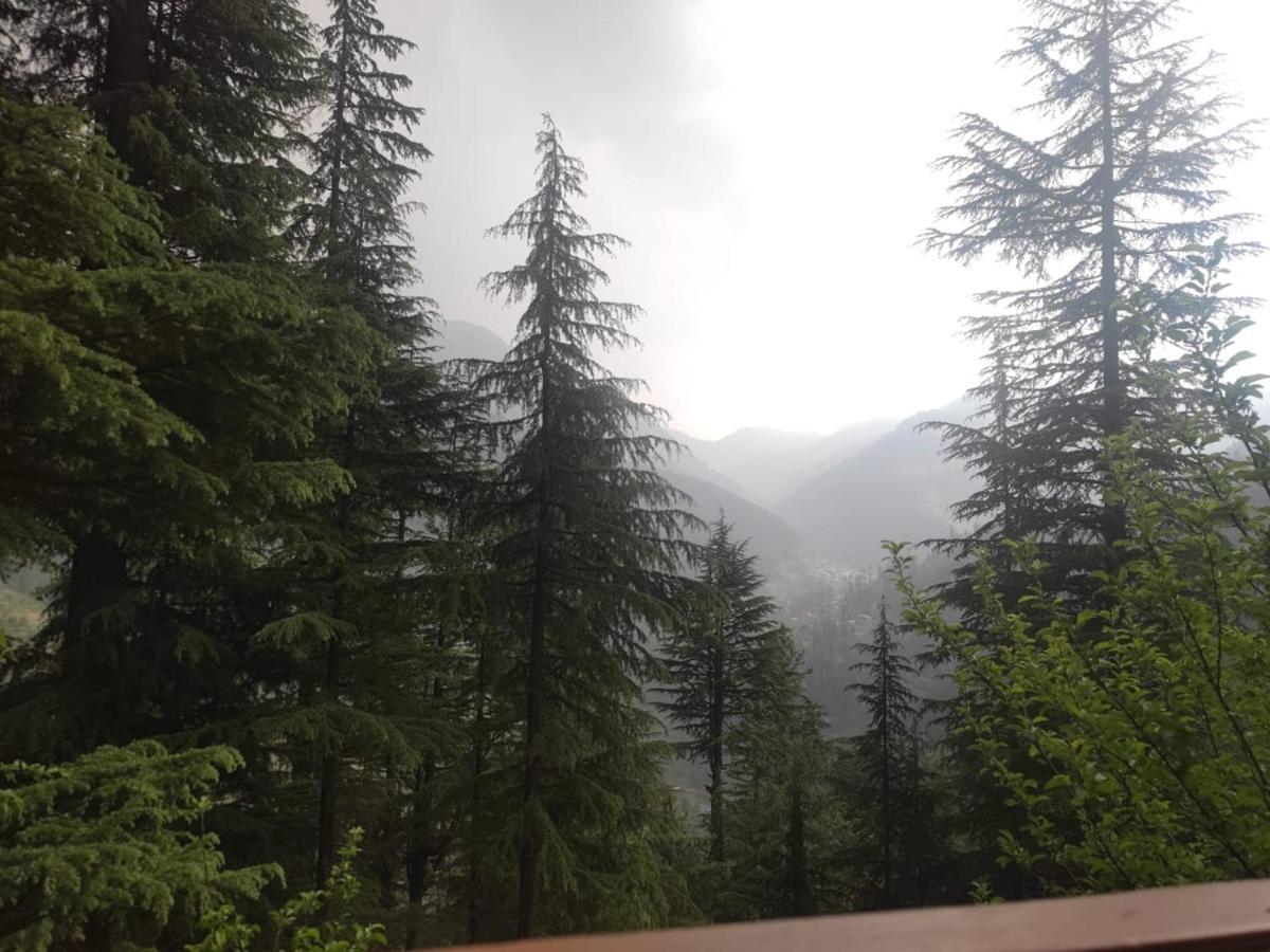 Freebird Nest Jibhi Hotel Екстериор снимка
