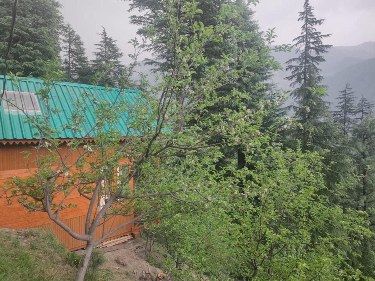 Freebird Nest Jibhi Hotel Екстериор снимка