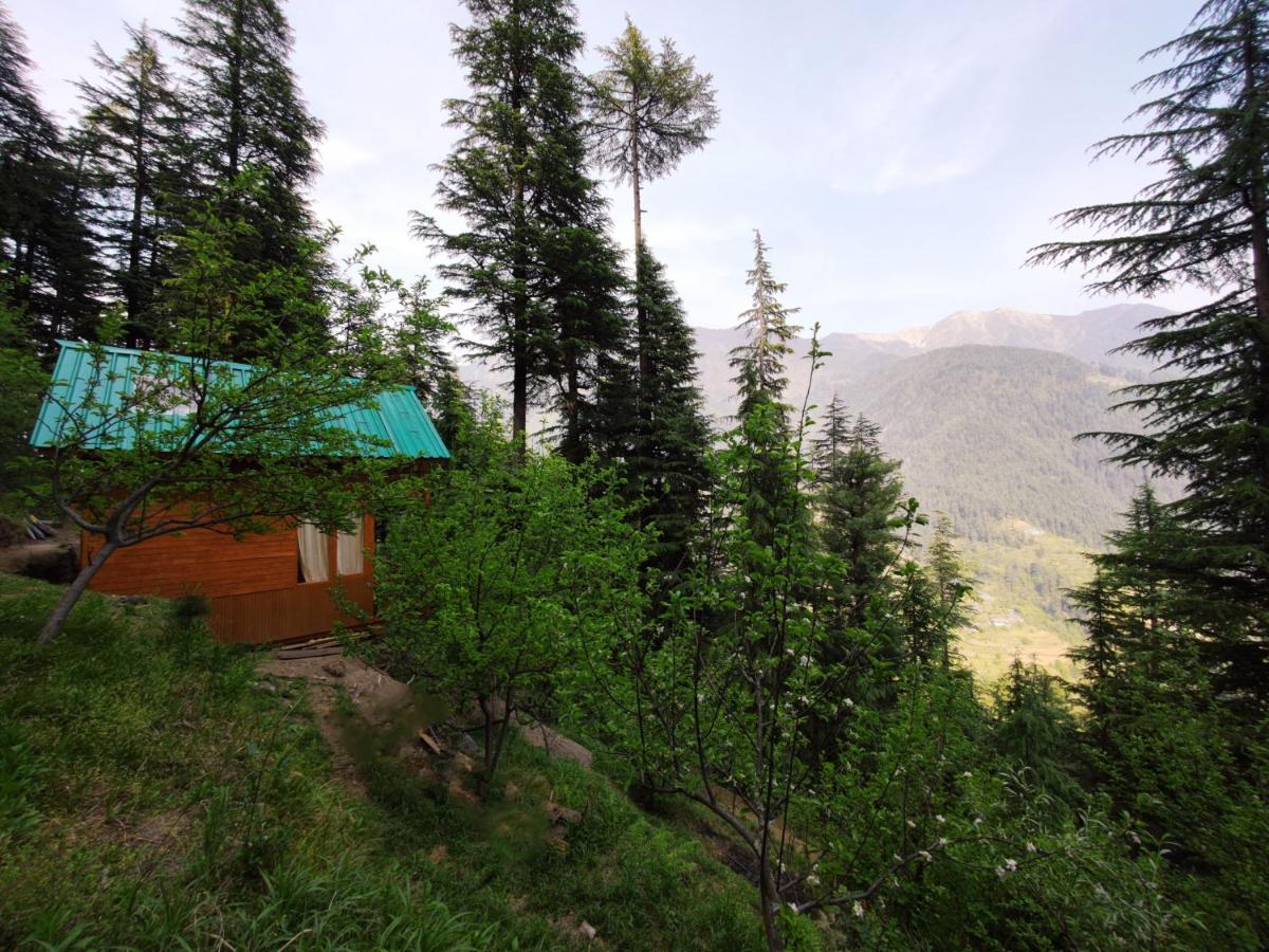 Freebird Nest Jibhi Hotel Екстериор снимка