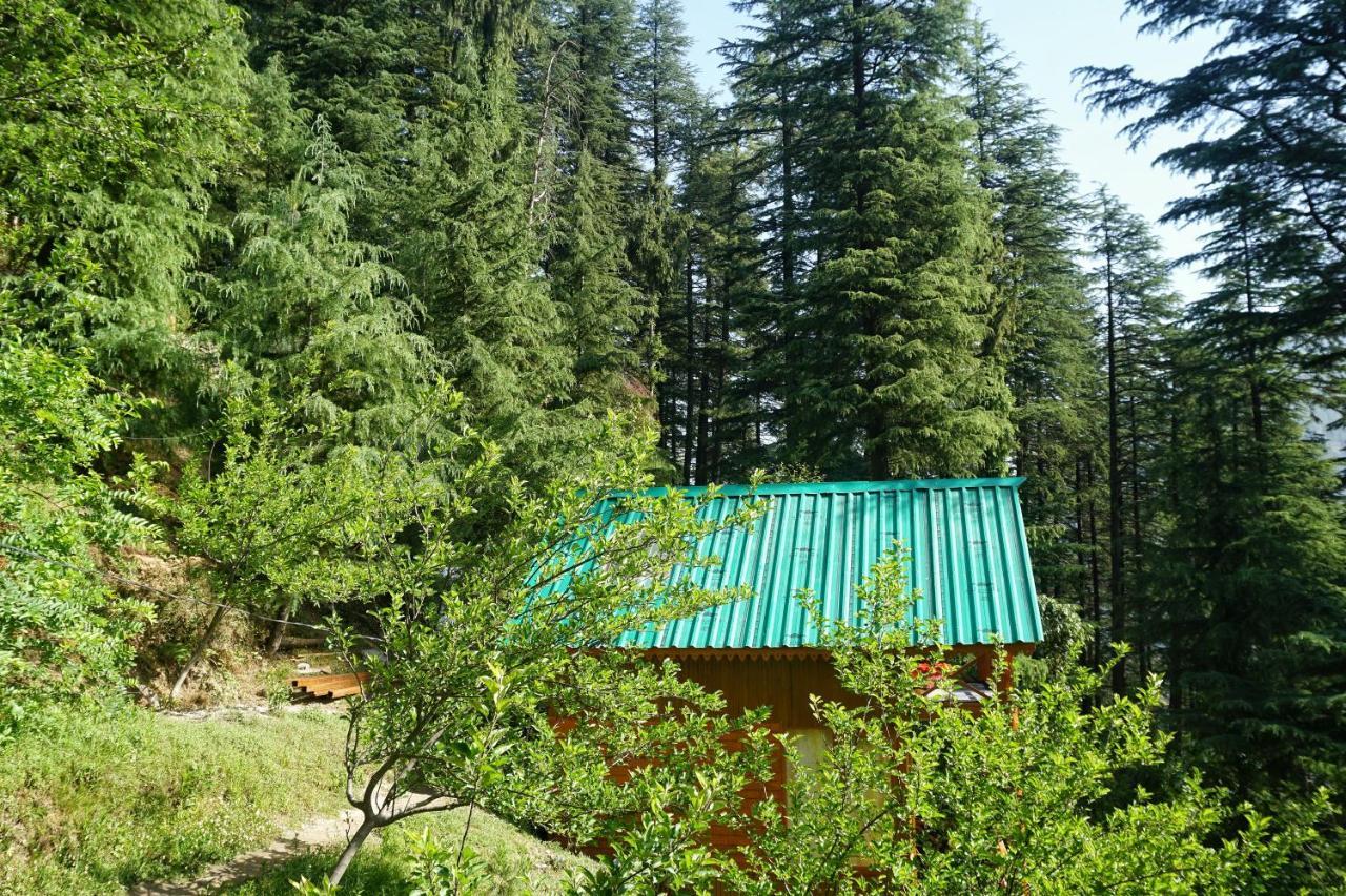 Freebird Nest Jibhi Hotel Екстериор снимка