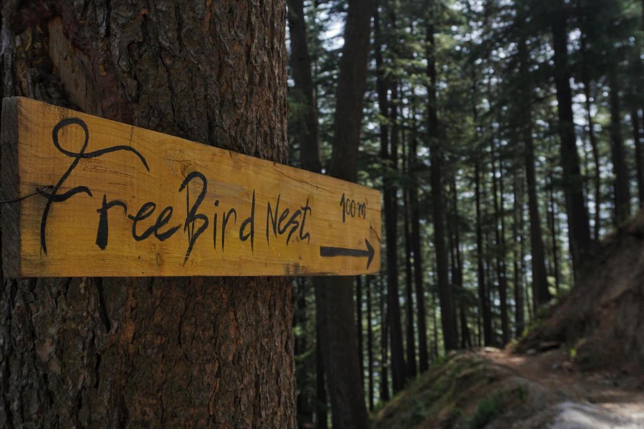 Freebird Nest Jibhi Hotel Екстериор снимка