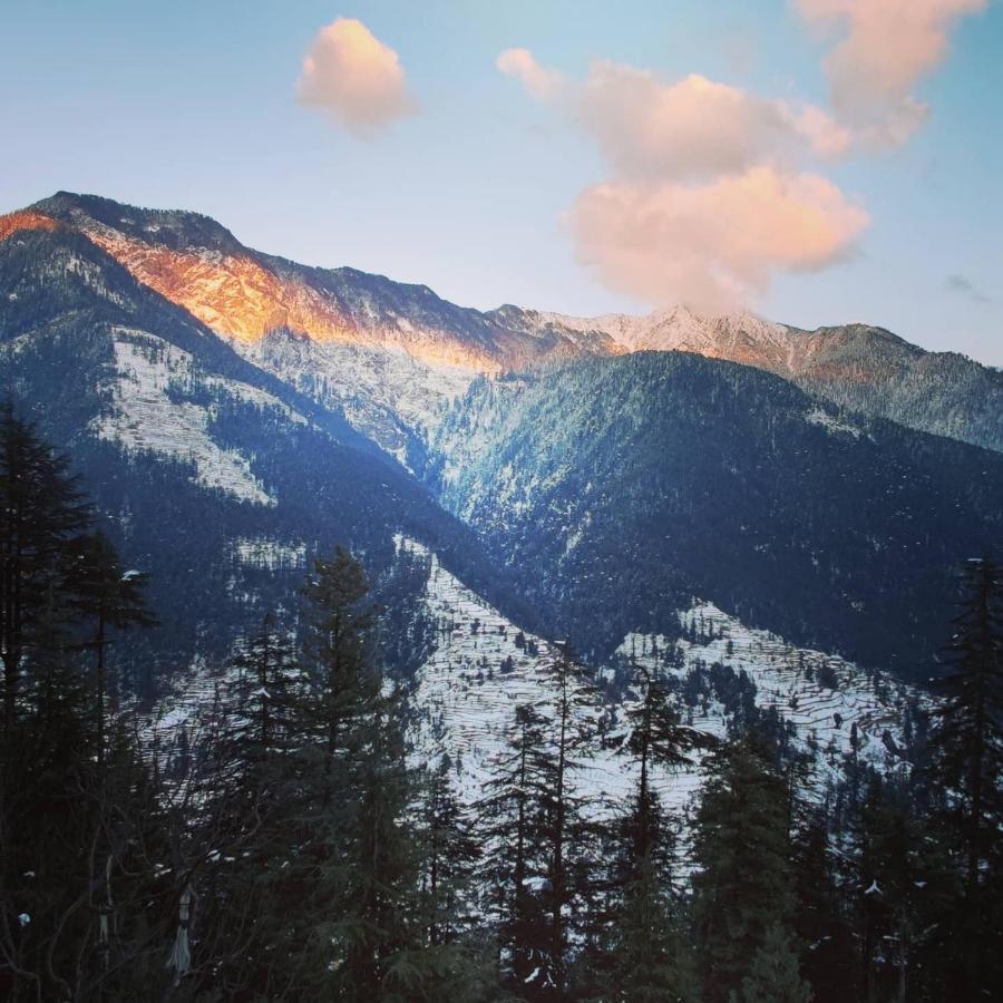Freebird Nest Jibhi Hotel Екстериор снимка