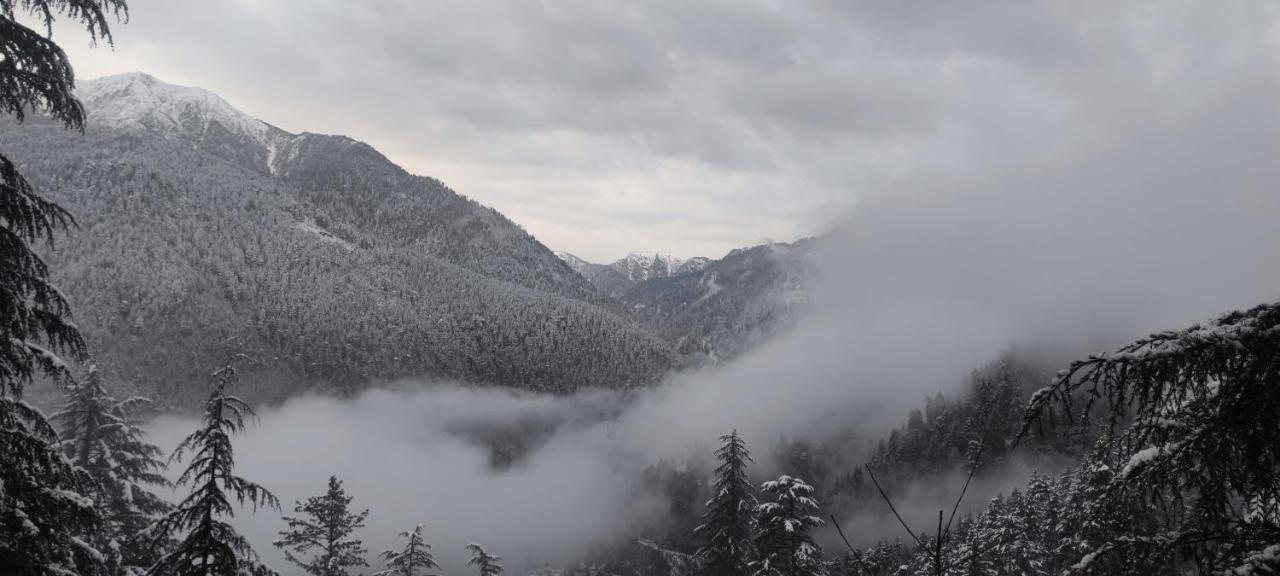 Freebird Nest Jibhi Hotel Екстериор снимка