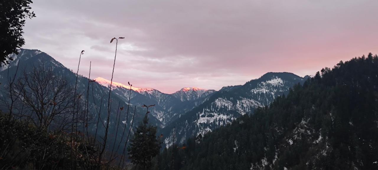 Freebird Nest Jibhi Hotel Екстериор снимка